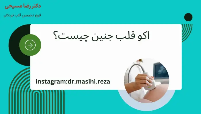 اکو قلب جنین چیست؟
