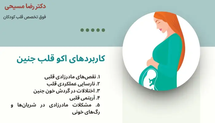 کاربردهای اکو قلب جنین