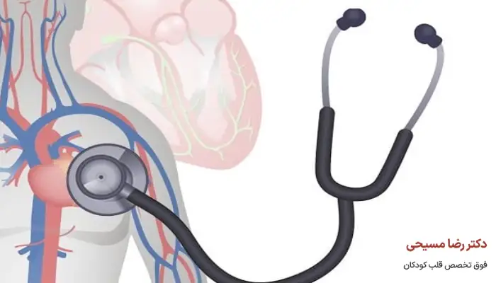 بهترین زمان معاینه قلبی ورزشکار