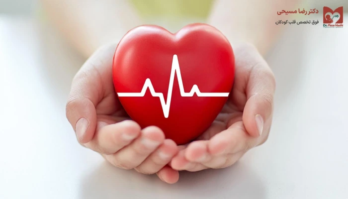 قیمت نوار قلب