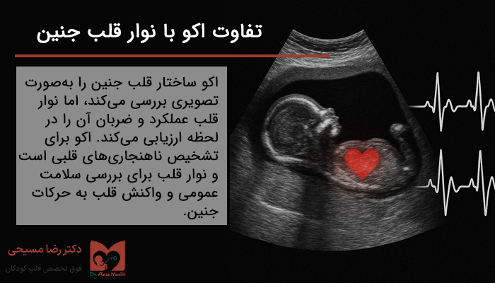 تفاوت اکو قلب جنین با نوار قلب جنین