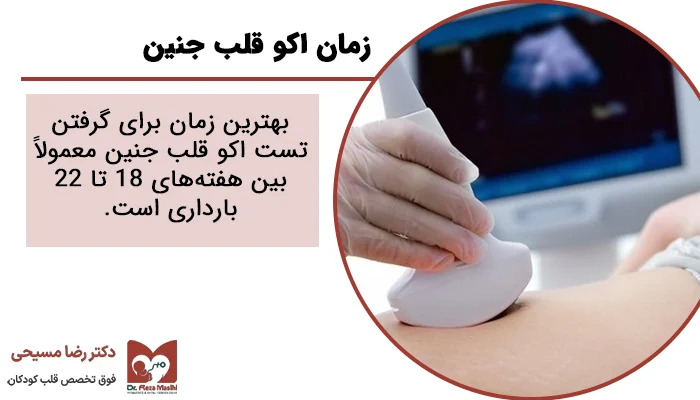 اکو قلب جنین تا چند هفتگی قابل انجام است