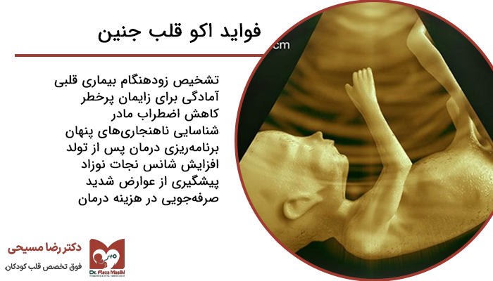 مزایا و فواید اکو قلب جنین