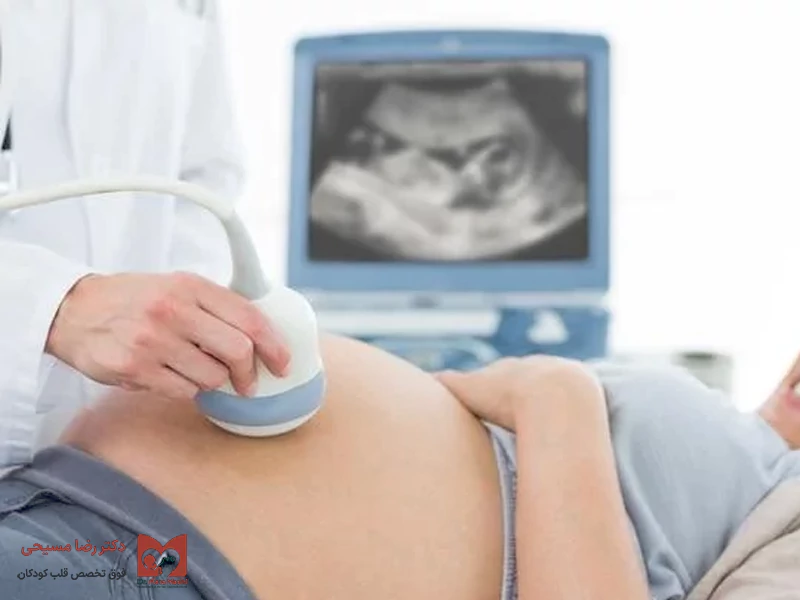اکو قلب جنین چگونه انجام میشود