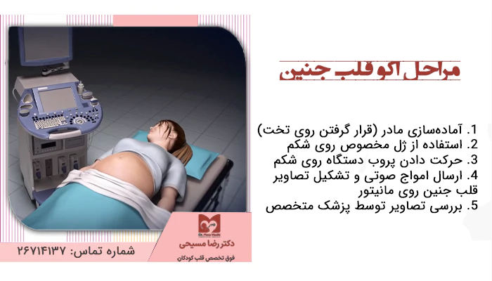 مراحل اکو قلب جنین